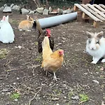 別荘 La Ferme Du Bon Vieux Temps *