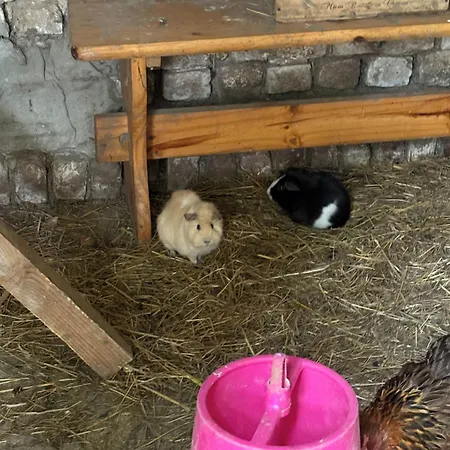 La Ferme Du Bon Vieux Temps